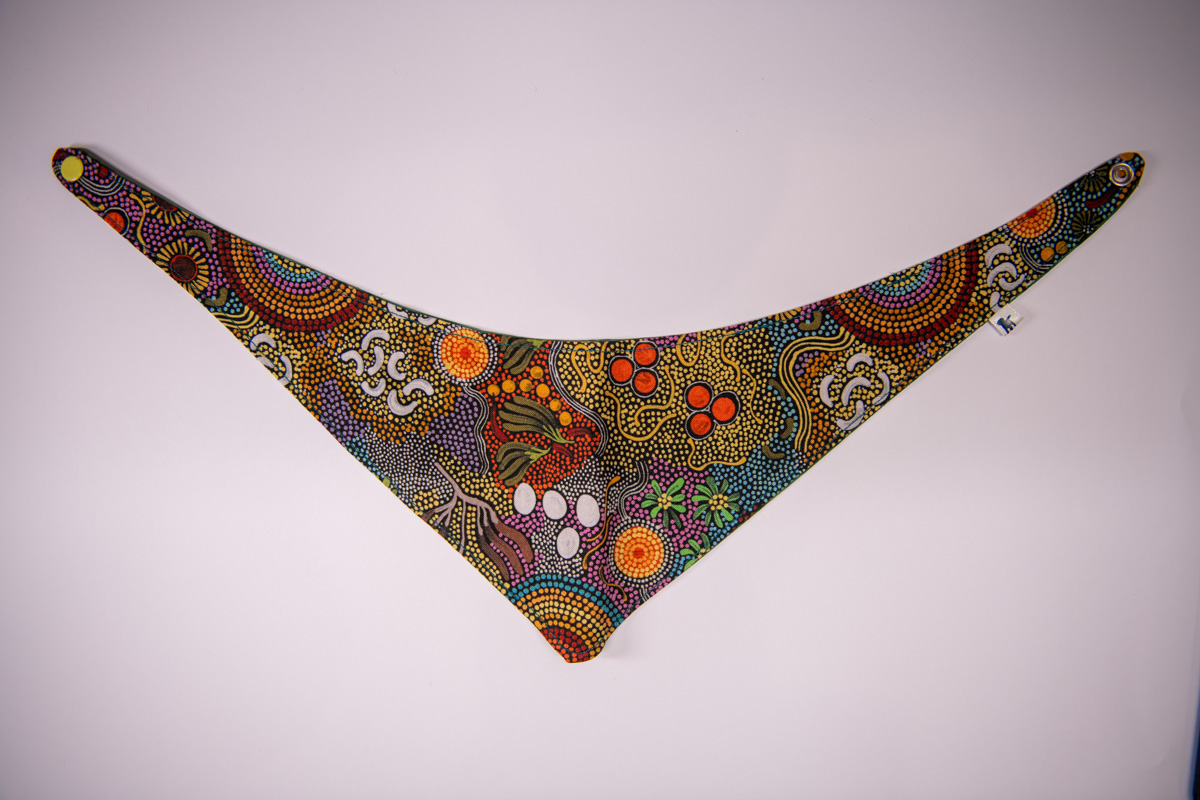 Indigenous Australian design (M)