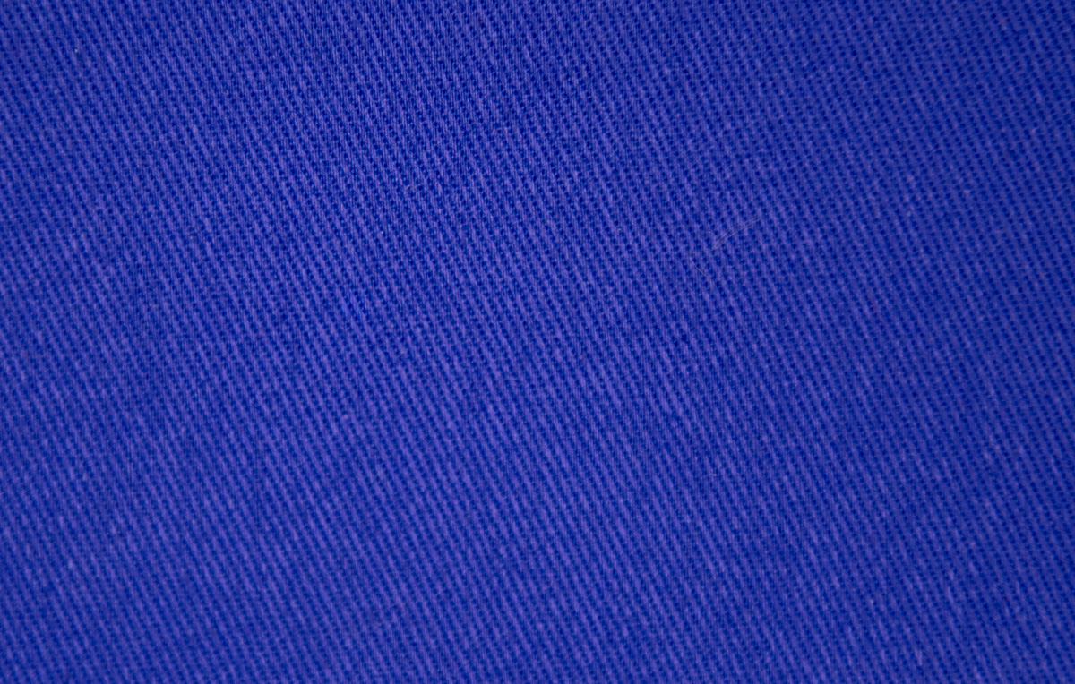Blue Leash Sleeve - Training / Working