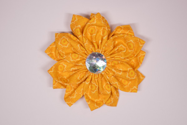 The Sunshine Show‑Off Collar Bloom